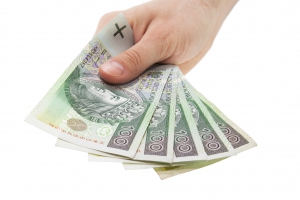 Polish money. Clipping path included.