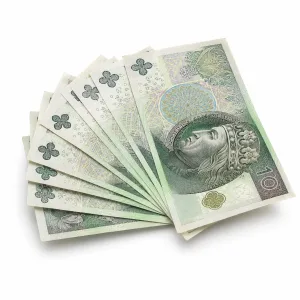 Polish money. Clipping path included.