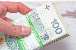 Polish money. Clipping path included.